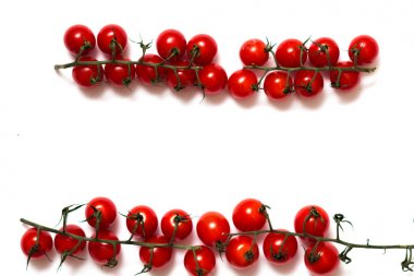 Beyaz arka plan üzerinde izole ham Olgun Kiraz domates dallarında 