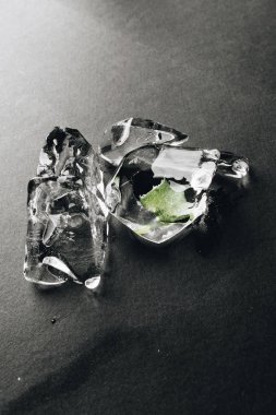 buz küpleri ile koyu gri arka plan üzerinde içinde donmuş aloe