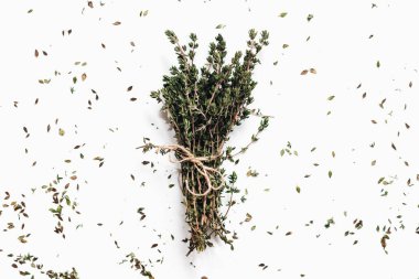 Beyaz arka plan üzerinde izole yeşil aromatik otlar demet