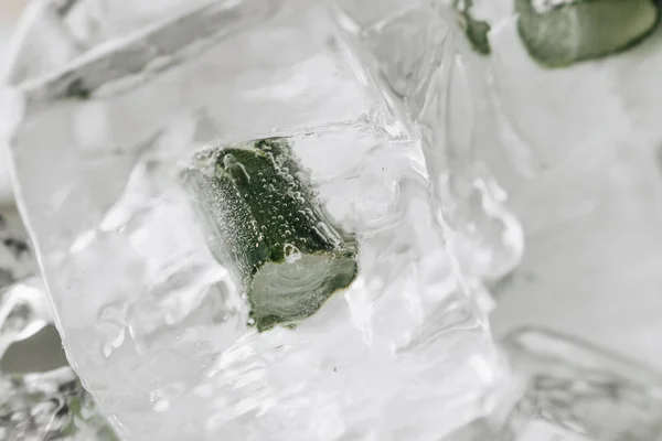 Кубики Льоду Замороженим Алое Всередині Крупним Планом — стокове фото