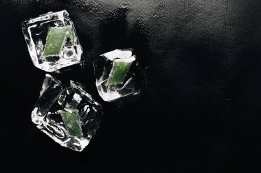 buz küpleri ile siyah arka plan üzerine içinde donmuş aloe 