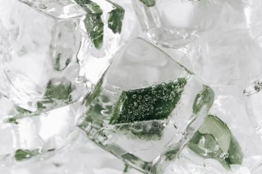 buz küpleri içinde closeup donmuş aloe ile 