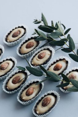 lezzetli pralin tatlı badem ve mavi zemin üzerine yeşil dallar ile kompozisyon