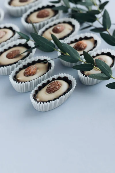 Composição Deliciosos Doces Pralinos Com Amêndoas Galhos Verdes Fundo Azul — Fotografia de Stock