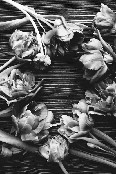 Hermosa Composición Primavera Con Flores Tiernas Sobre Fondo Madera Blanco —  Fotos de Stock