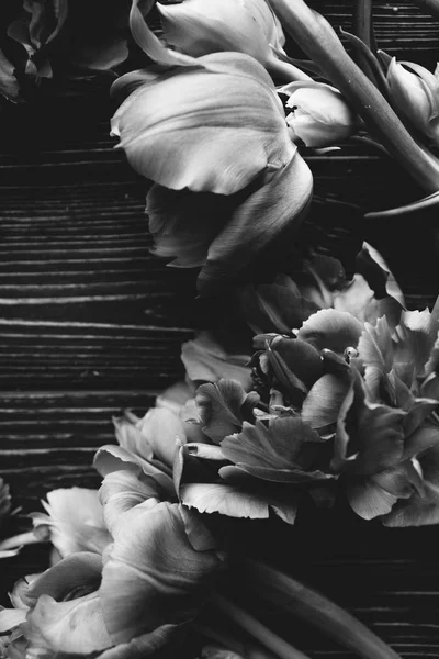 흑백에 부드러운 꽃으로 — 스톡 사진