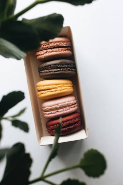 kutusu ile lezzetli parlak macaroons, tatlı tatlı 