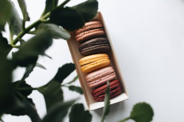 kutusu ile lezzetli parlak macaroons, tatlı tatlı 