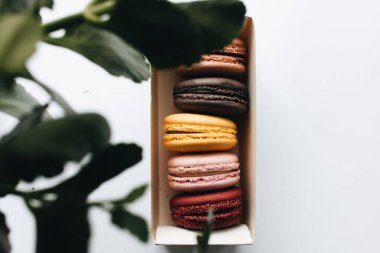 kutusu ile lezzetli parlak macaroons, tatlı tatlı 