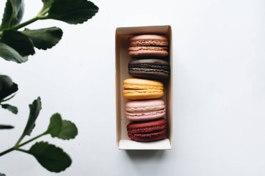 kutusu ile lezzetli parlak macaroons, tatlı tatlı 
