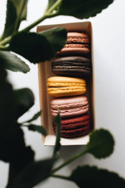 kutusu ile lezzetli parlak macaroons, tatlı tatlı 