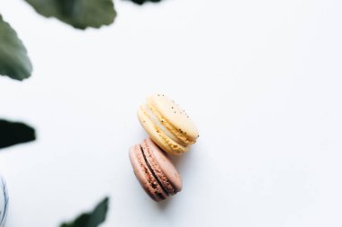 Beyaz arka planda lezzetli badem kurabiyelerinin bileşimi 