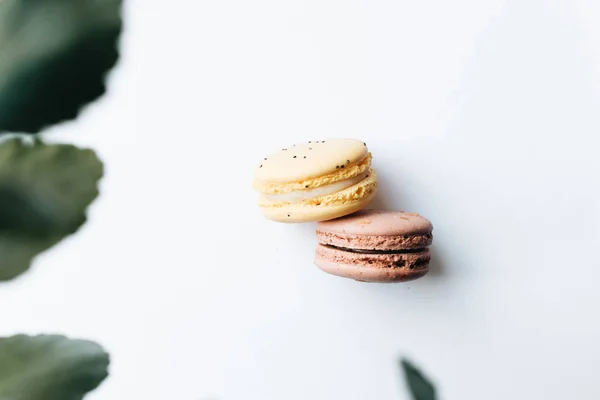 Composición Deliciosos Macarrones Sobre Fondo Blanco —  Fotos de Stock