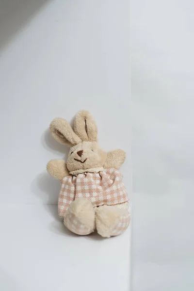Милый Кролик Игрушка Белом Фоне — стоковое фото
