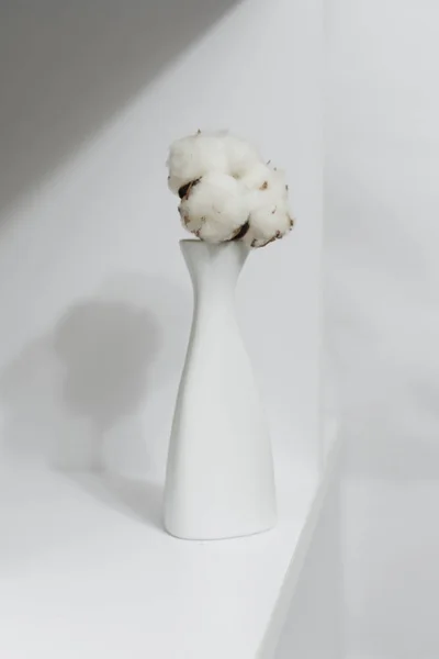 白い背景の花瓶の綿の花 — ストック写真