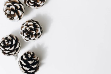 Beyaz arka planda çam kozalakları, Yeni Yıl dekorasyonları