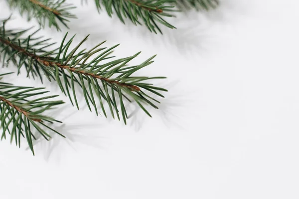 Boże Narodzenie Drzewo Gałąź Białym Tle — Zdjęcie stockowe