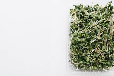 Yeşil sağlıklı yiyecek stoku imajı