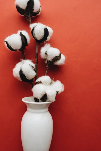 cotton flowers in vase on red background