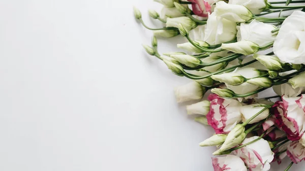 Hermoso Ramo Primavera Con Flores Tiernas Elegante Decoración Floral — Foto de Stock