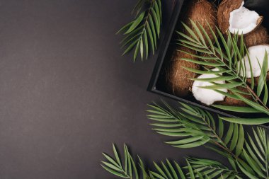 Hindistancevizi, tropikal meyve arka plan yığını