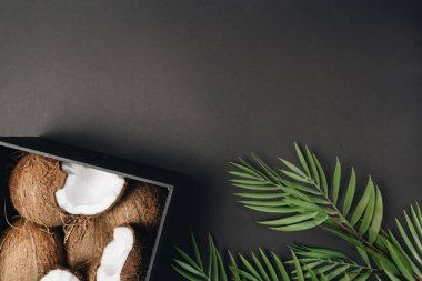 Hindistancevizi, tropikal meyve arka plan yığını