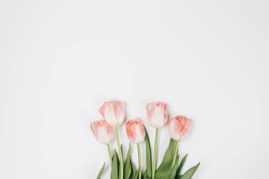 Yumuşak çiçekli güzel bahar buketi