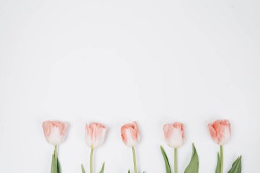 Yumuşak çiçekli güzel bahar buketi