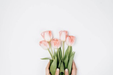 Yumuşak çiçekli güzel bahar buketi