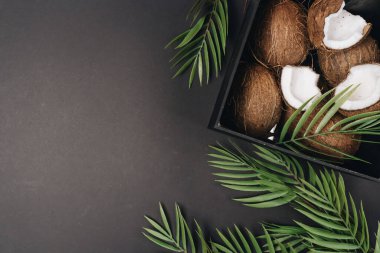 Hindistancevizi, tropikal meyve arka plan yığını