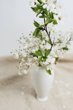 Vazodaki beyaz çiçekler