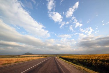 alanlarında çalışan yol