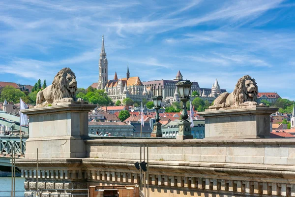 Lions of Chain bridge with Fisherman\'s Bastion at background, Budapest, Hungary