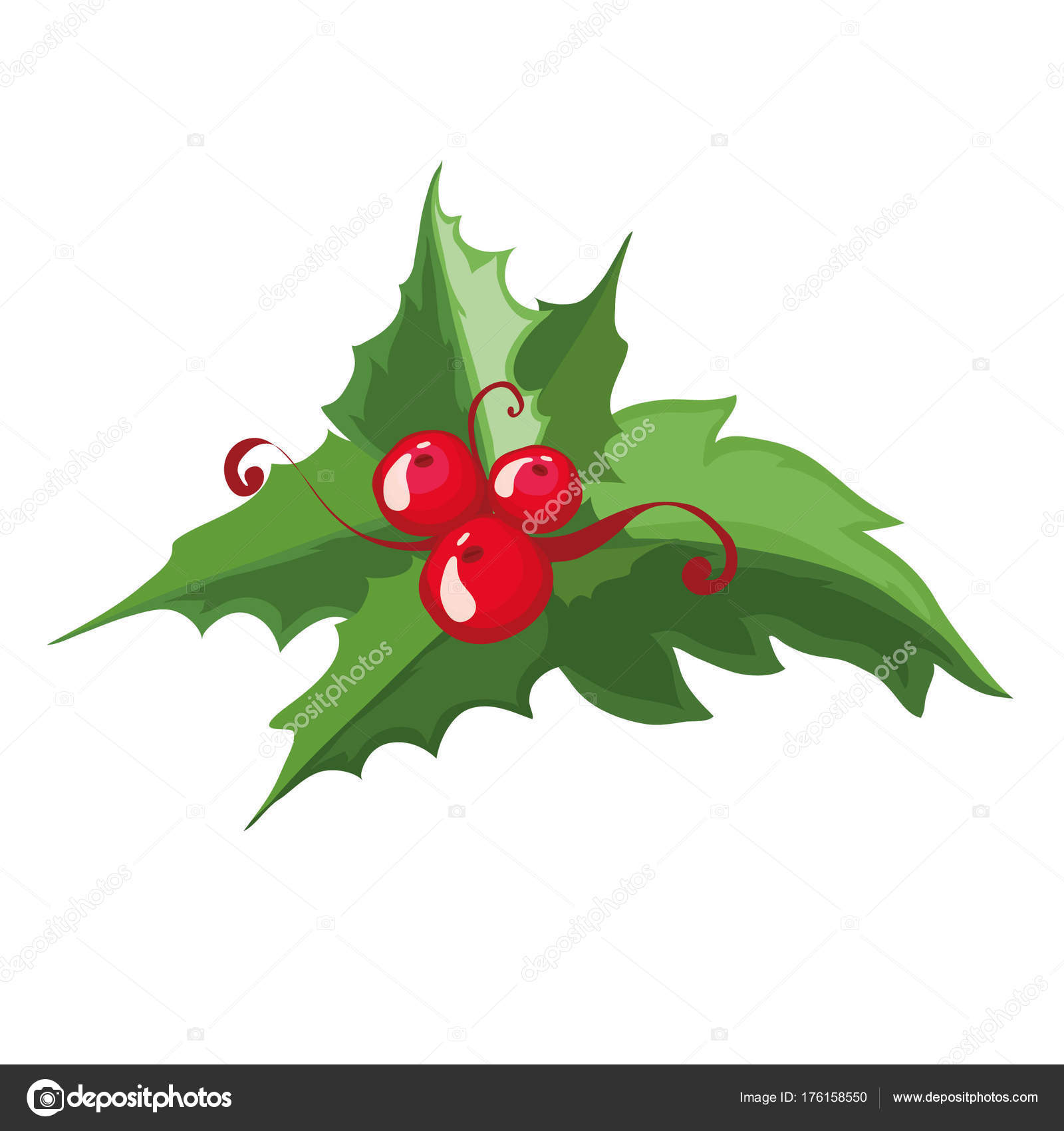 Kerst Hulst Bessen Vectorillustratie Kerstversiering — Stockvector