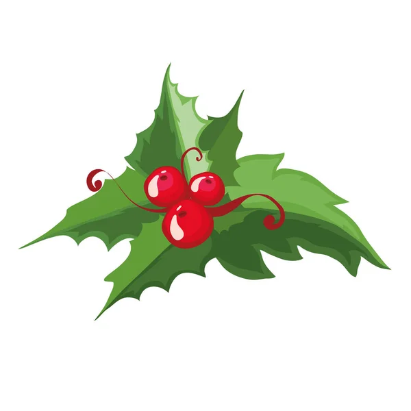 Noel holly Karpuzu. Vektör çizim. Noel süsleri.