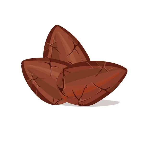 kakao çekirdeği. vektör çizim.