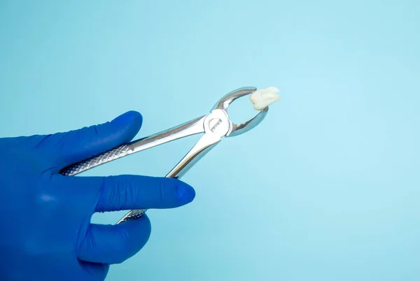 The doctor is holding forceps for tooth extraction in his hands. The diseased tooth was removed. An injection with anesthesia and a tooth. Tooth extraction in a dental clinic. Dental instruments