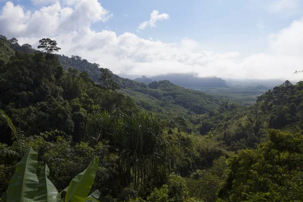 Selvas tropicales en Tailandia — Foto de Stock