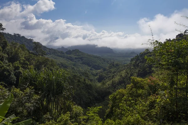 Selvas tropicales en Tailandia — Foto de Stock