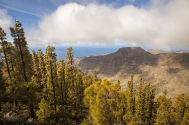 Los Roques kayalar La Gomera, Kanarya Adaları, İspanya