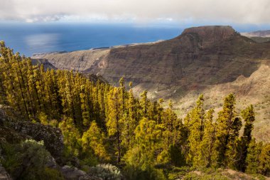 Los Roques kayalar La Gomera, Kanarya Adaları, İspanya