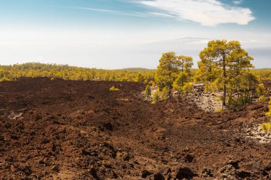 Pico del Teide, Tenerife, Kanarya Adaları, İspanya