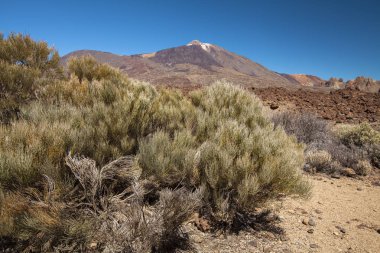 Pico del Teide, Tenerife, Kanarya Adaları, İspanya