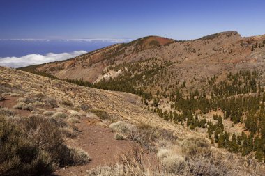 Pico del Teide, Tenerife, Kanarya Adaları, İspanya
