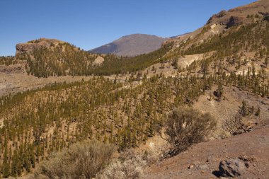 Pico del Teide, Tenerife, Kanarya Adaları, İspanya