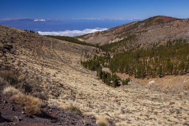 Pico del Teide, Tenerife, Kanarya Adaları, İspanya