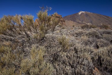 Pico del Teide, Tenerife, Kanarya Adaları, İspanya