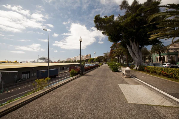 Şehir Atlantik Okyanusu, sahil Tenerife, Tenerife, Kanarya Adaları, İspanya