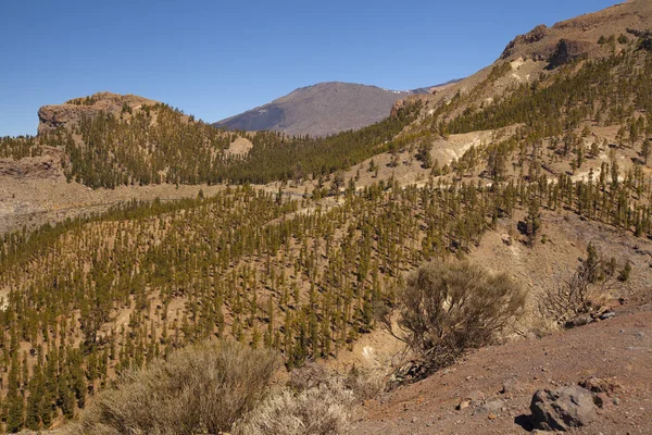 Pico del Teide, Tenerife, Kanarya Adaları, İspanya