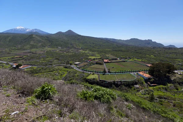 Pico Del Teide Tenerife 加那利群岛 西班牙 — 图库照片